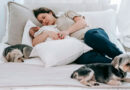 Chegada de um bebê ao lar requer adaptação de toda a família, inclusive do pet